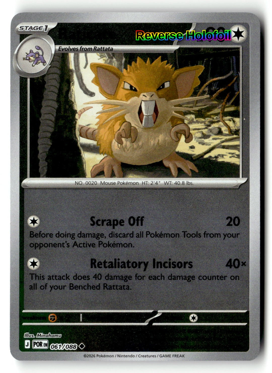 Raticate - 061/088