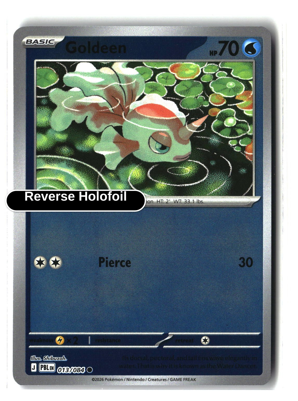 Goldeen - 013/084