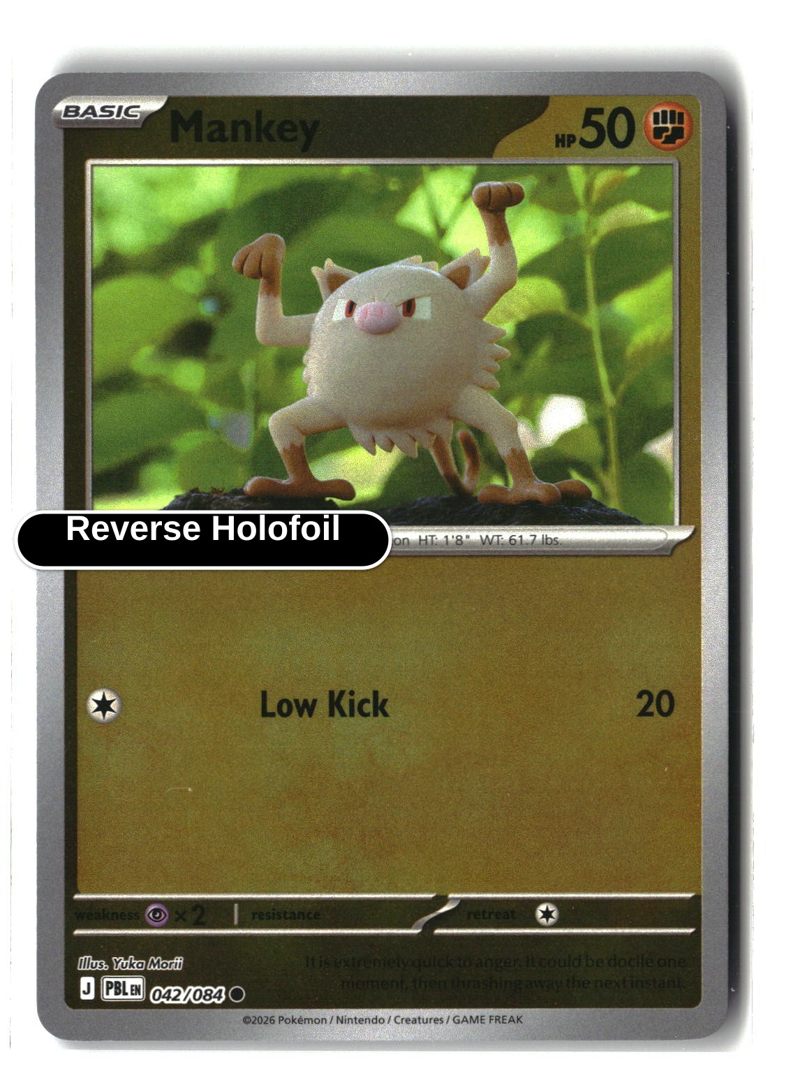 Mankey