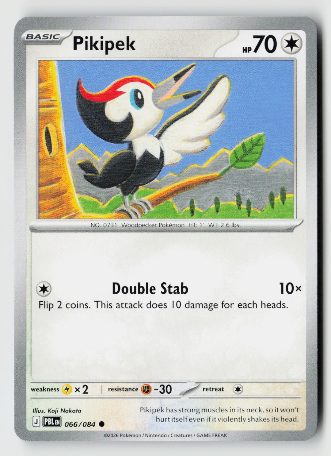 Pikipek