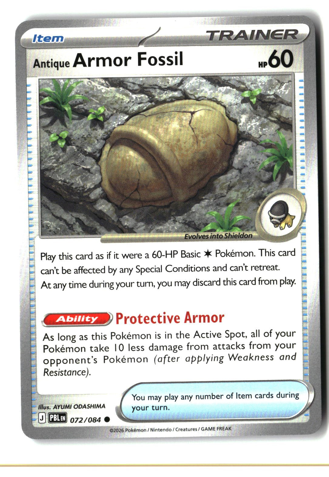Antique Armor Fossil
