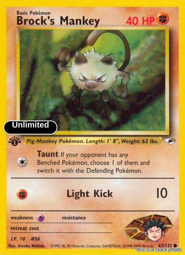 Brock's Mankey (67)
