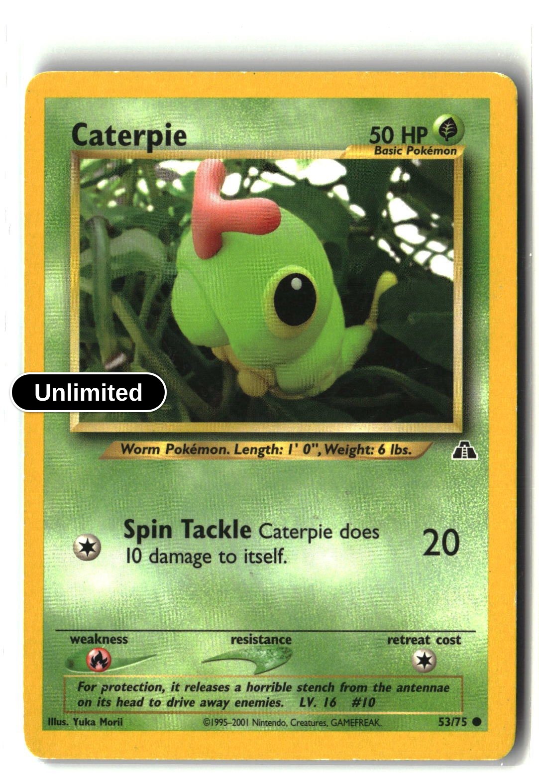 Caterpie