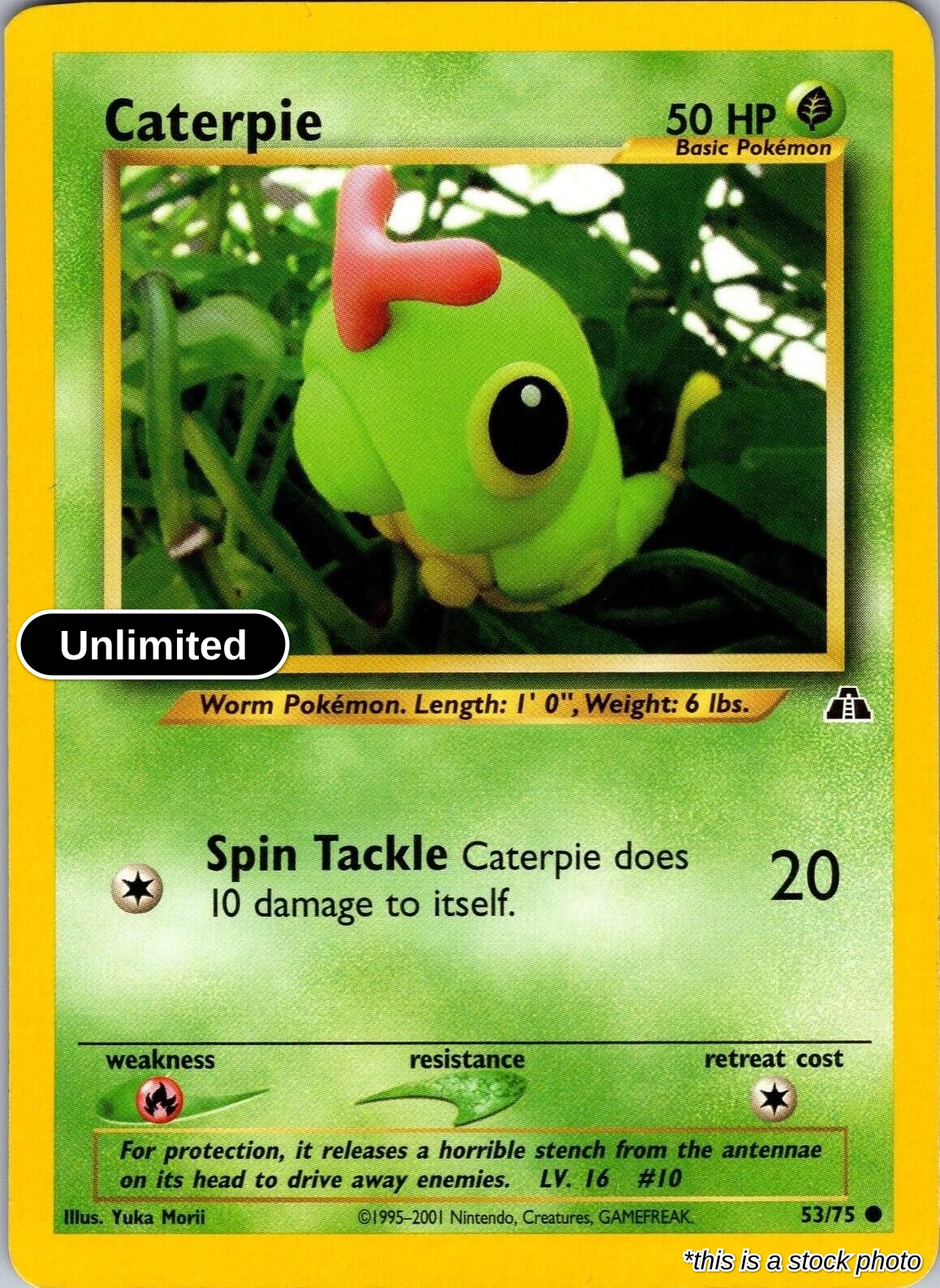 Caterpie