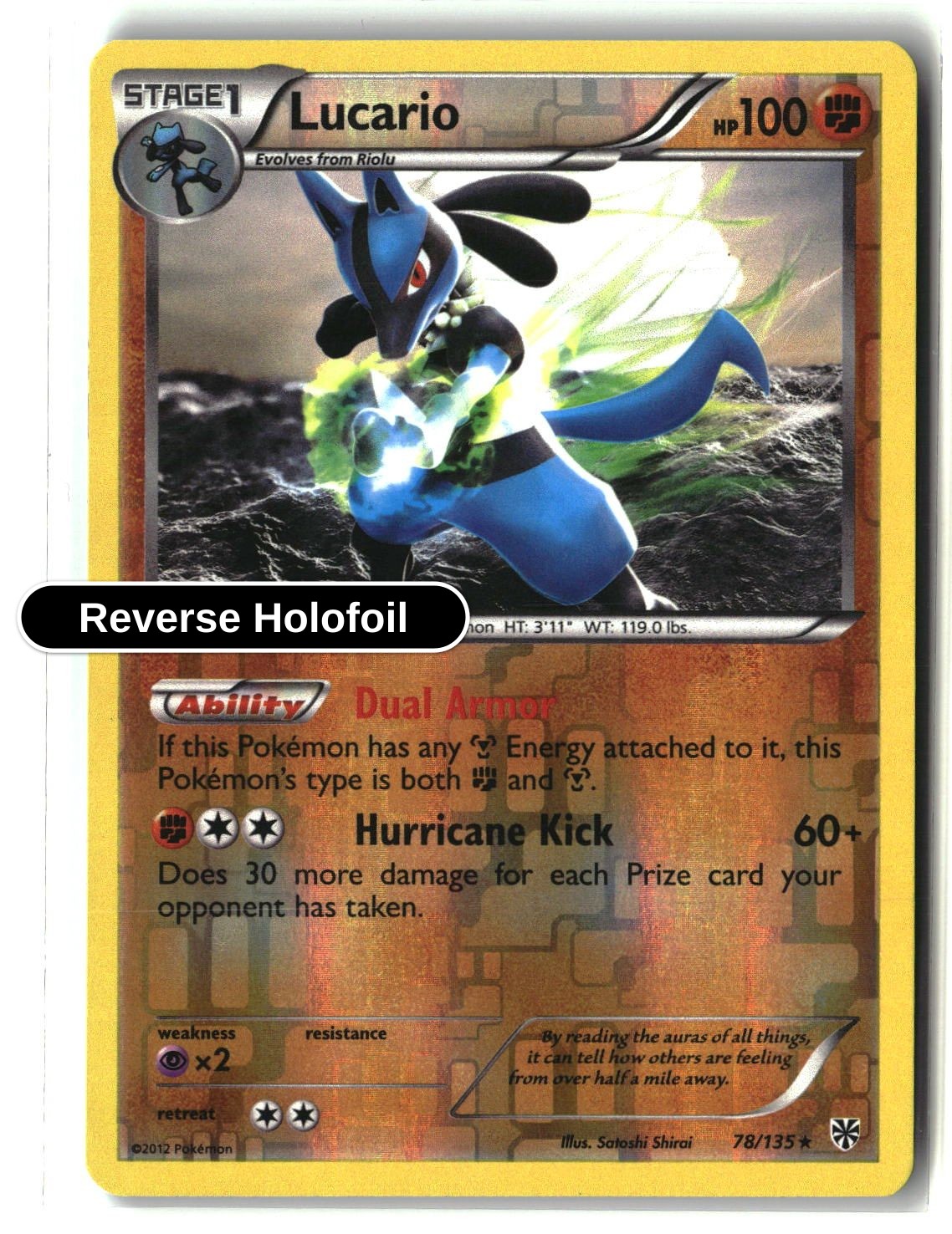 Lucario (78)