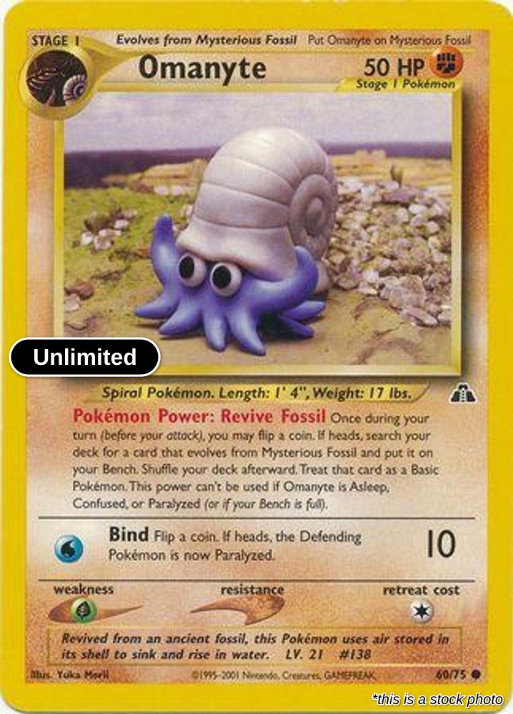 Omanyte