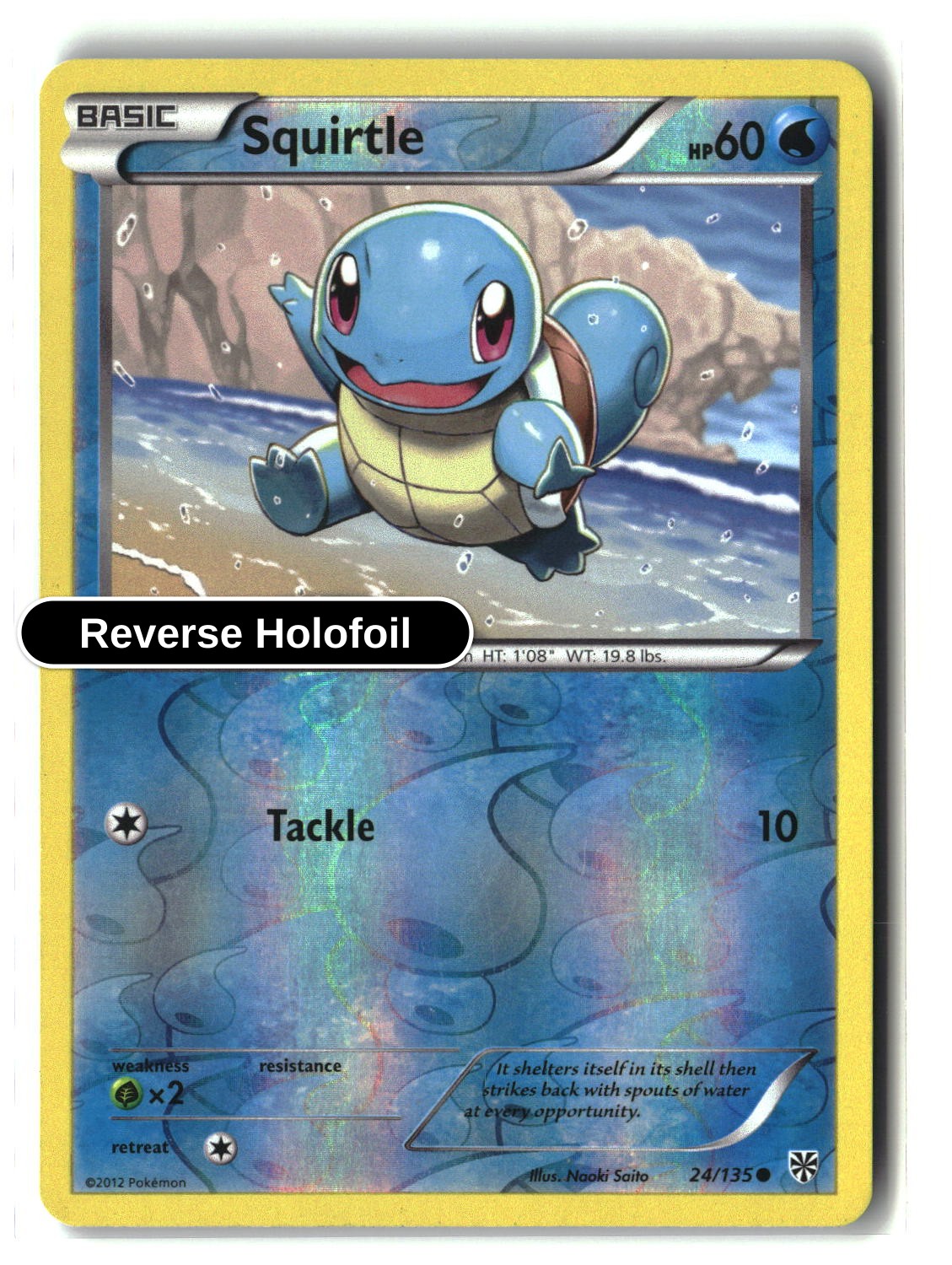 Squirtle