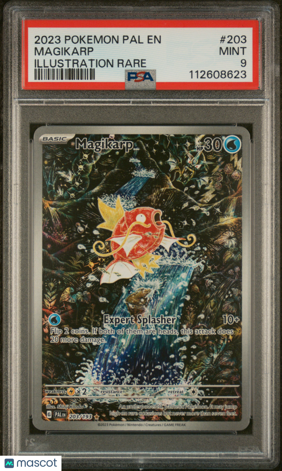 Magikarp Sv02: Paldea Evolved #203 PSA 9