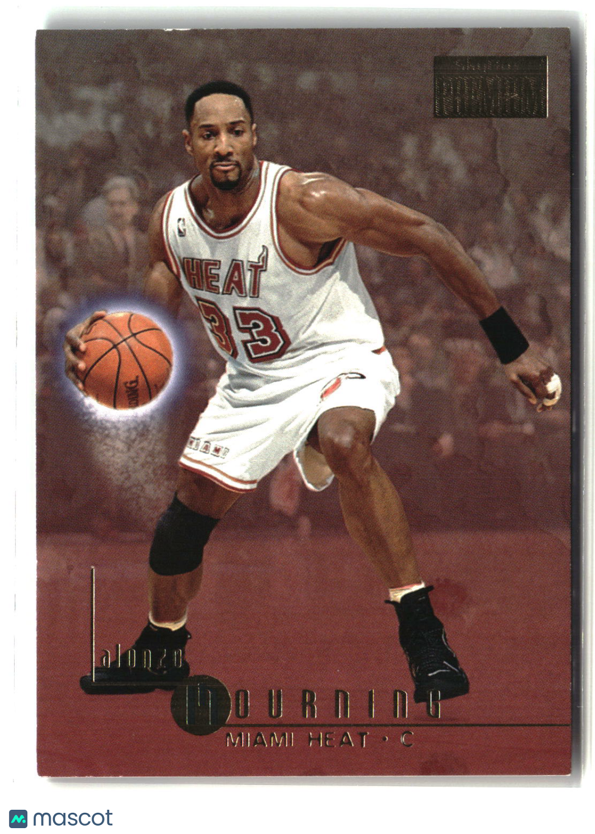 Alonzo Mourning 1996-97 SkyBox Premium #61
