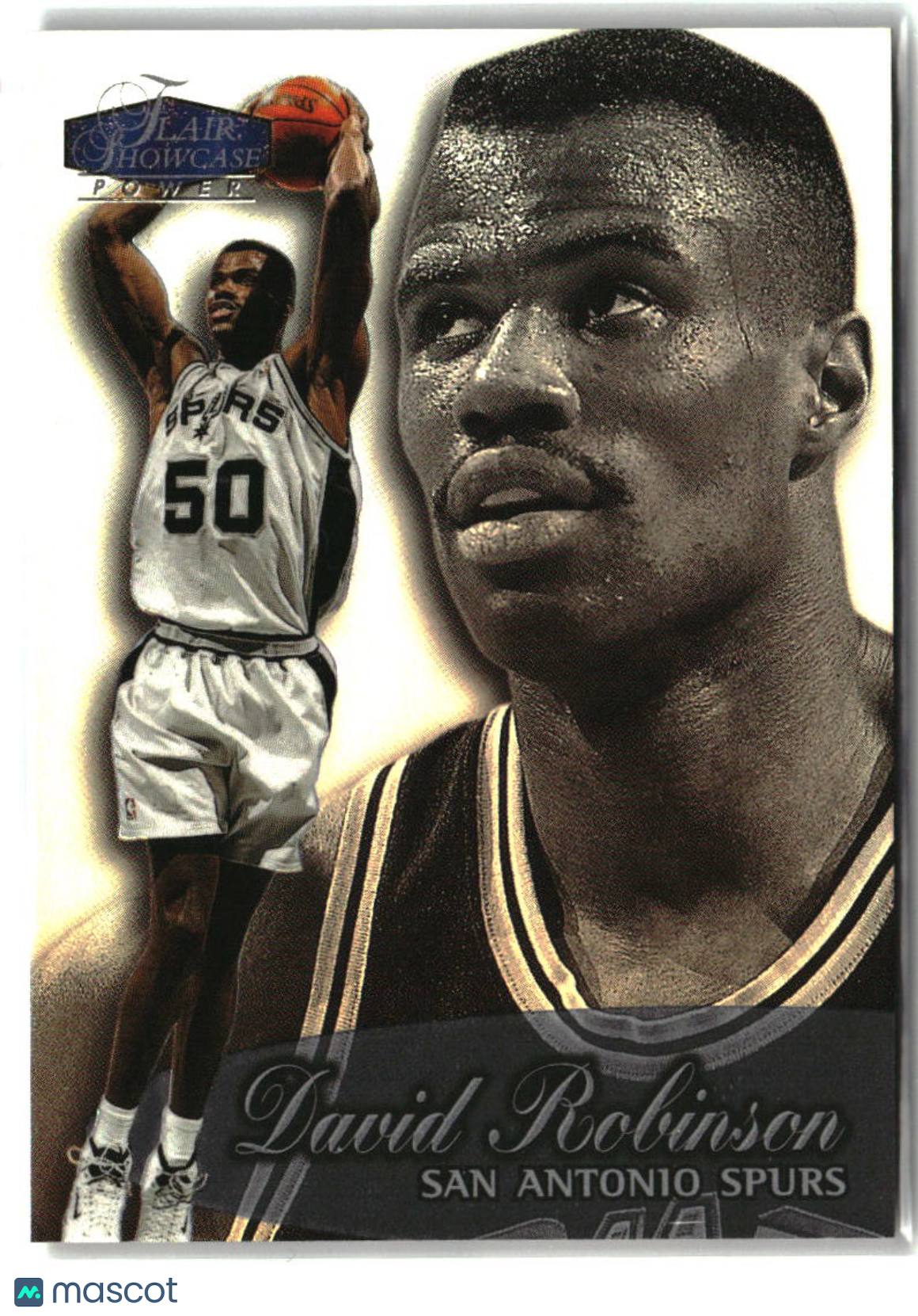 David Robinson 1998-99 Flair Showcase #38