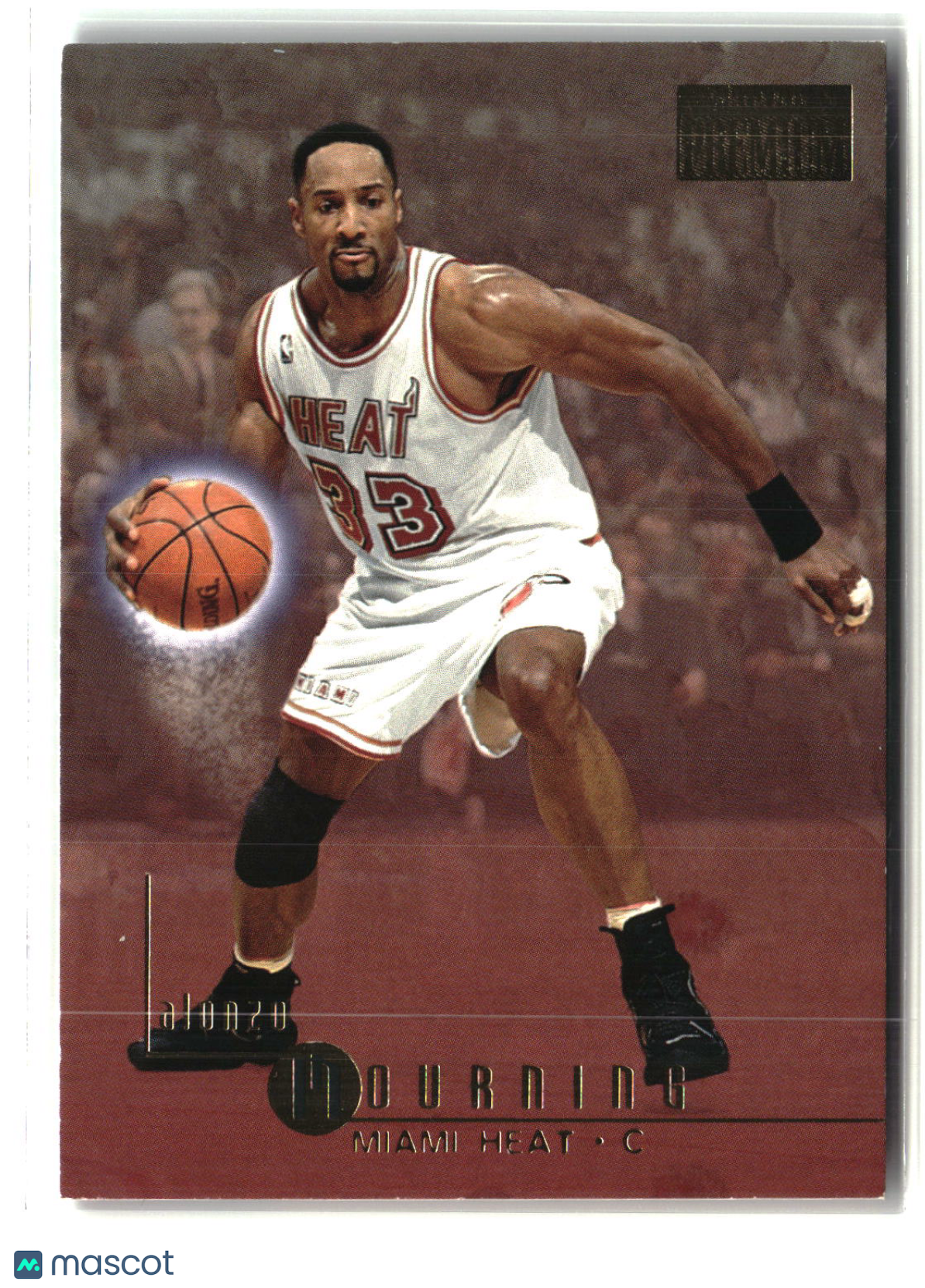 Alonzo Mourning 1996-97 SkyBox Premium #61