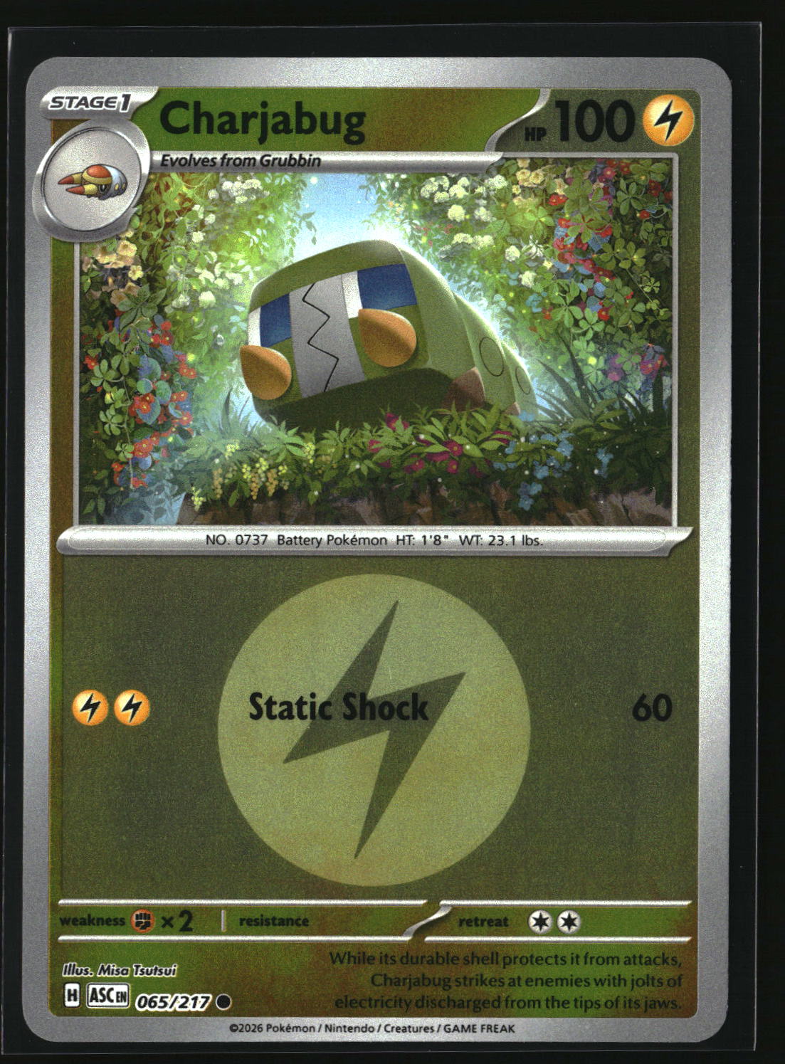 Charjabug (Energy Symbol Pattern)