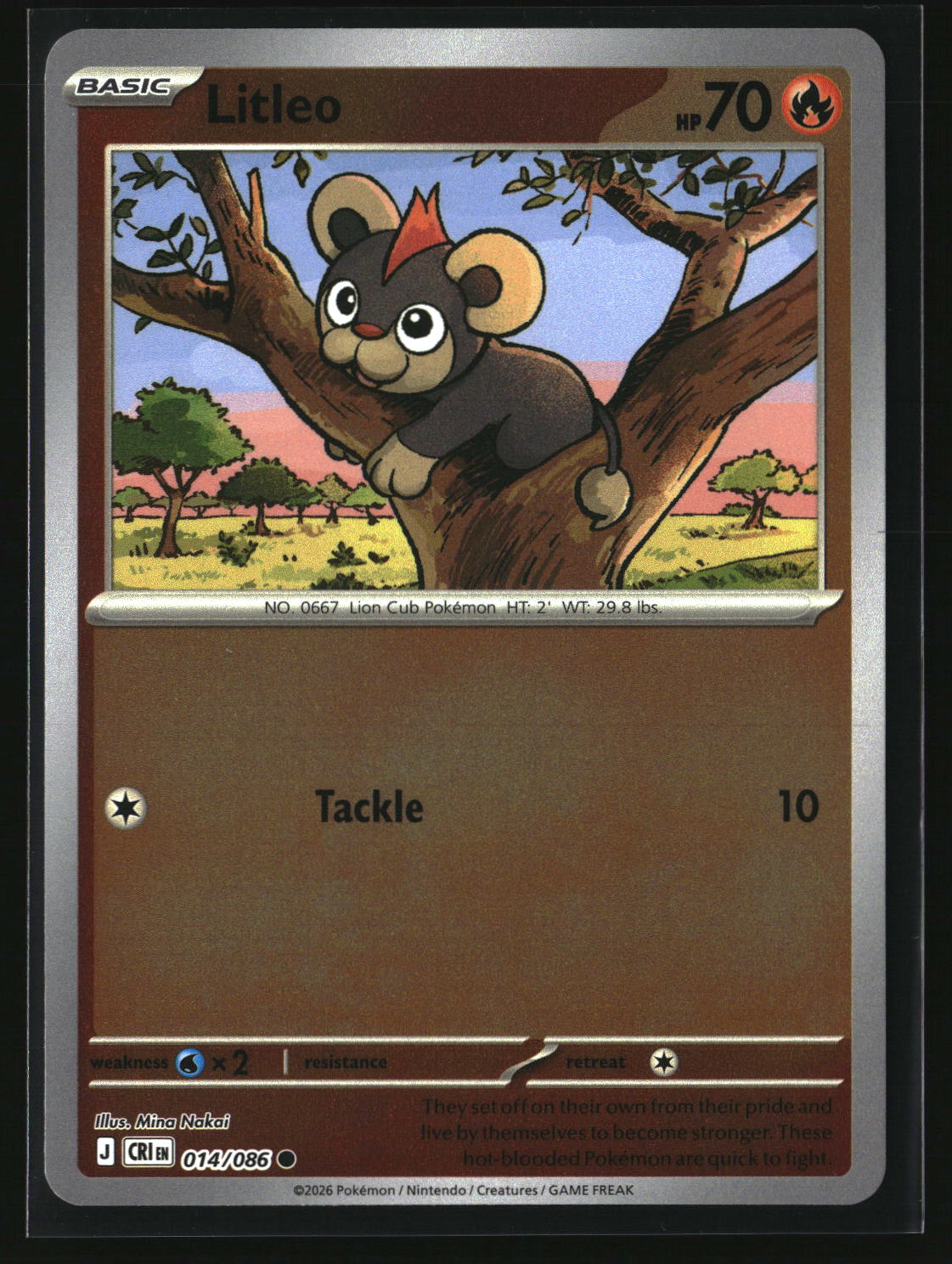 Litleo