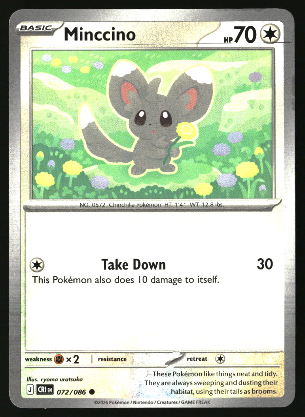 Minccino