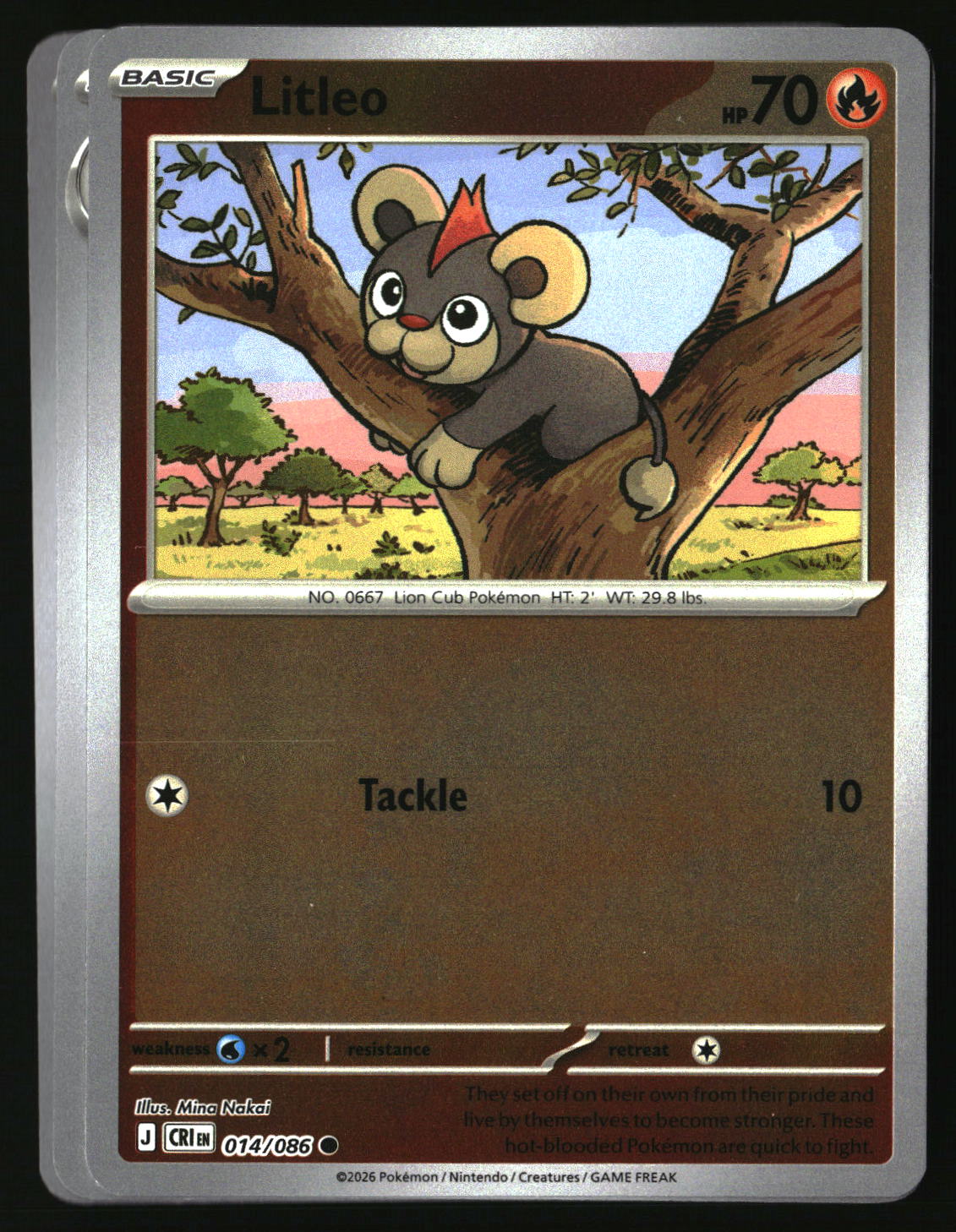 Litleo