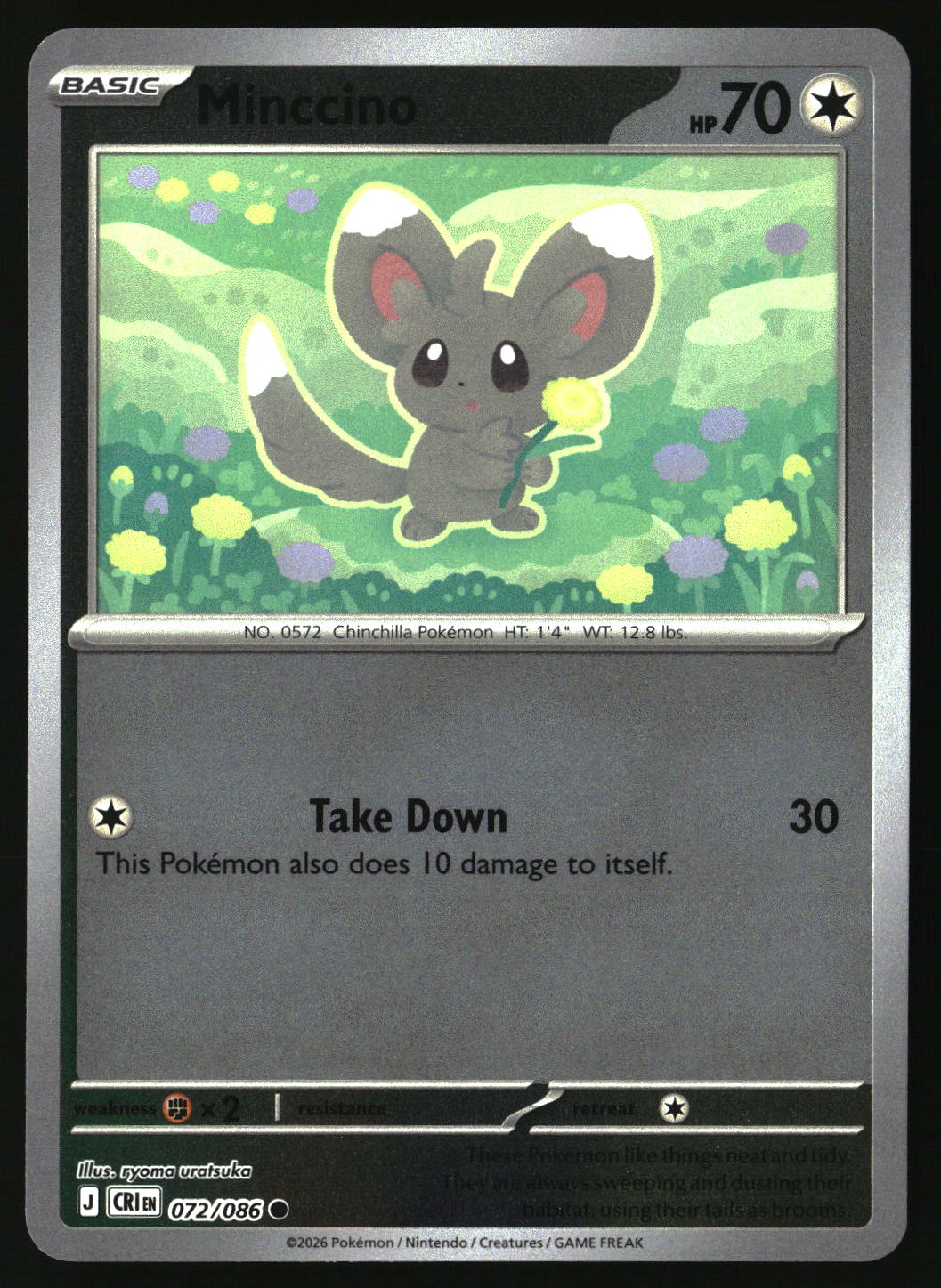 Minccino