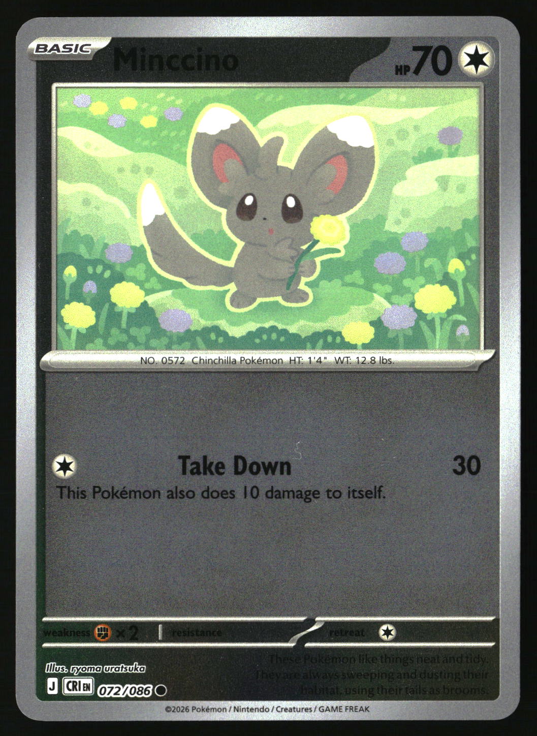 Minccino