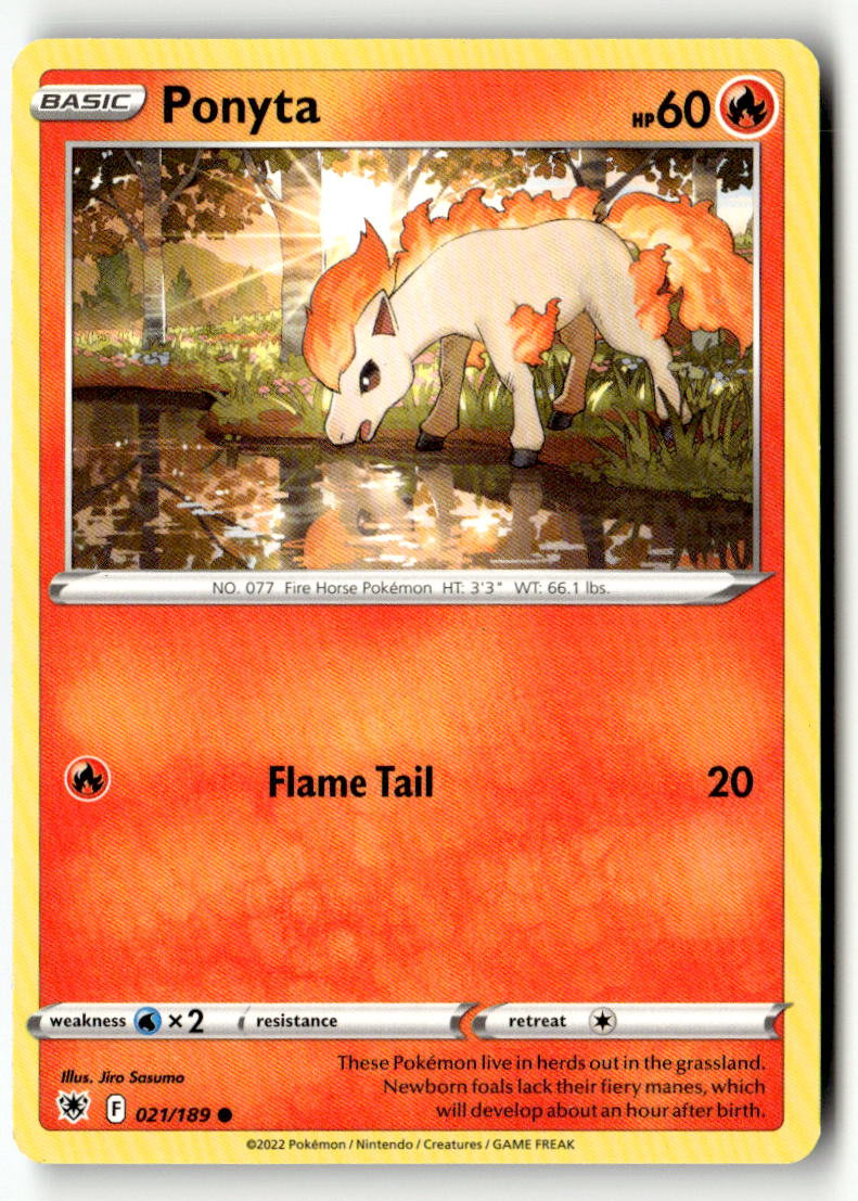 Ponyta