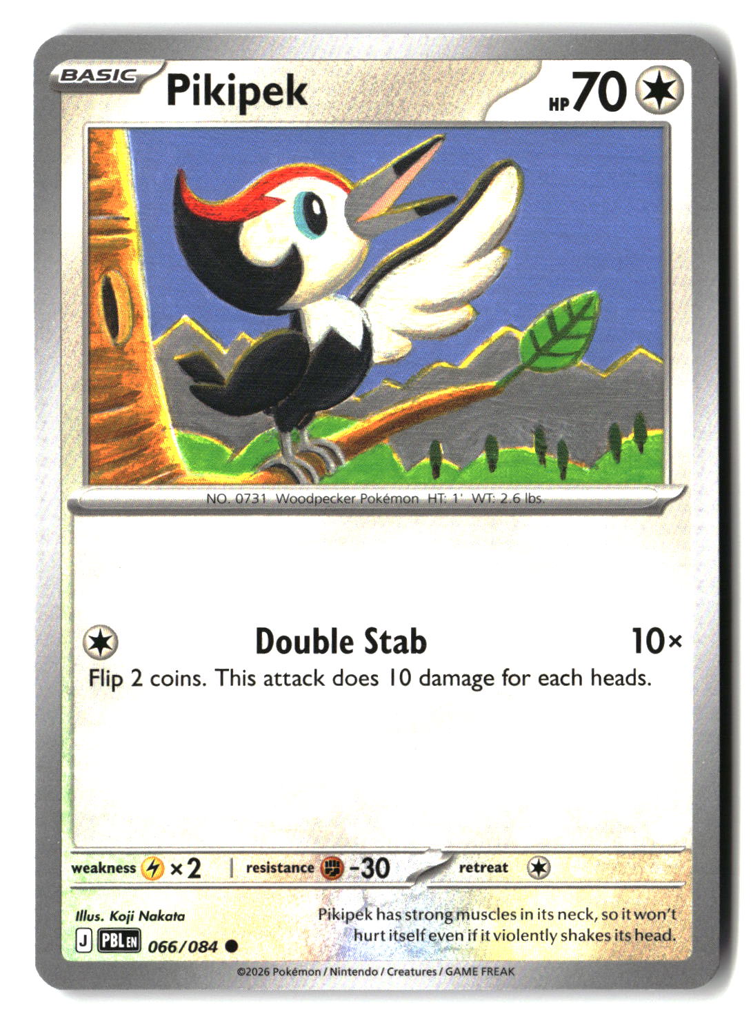 Pikipek