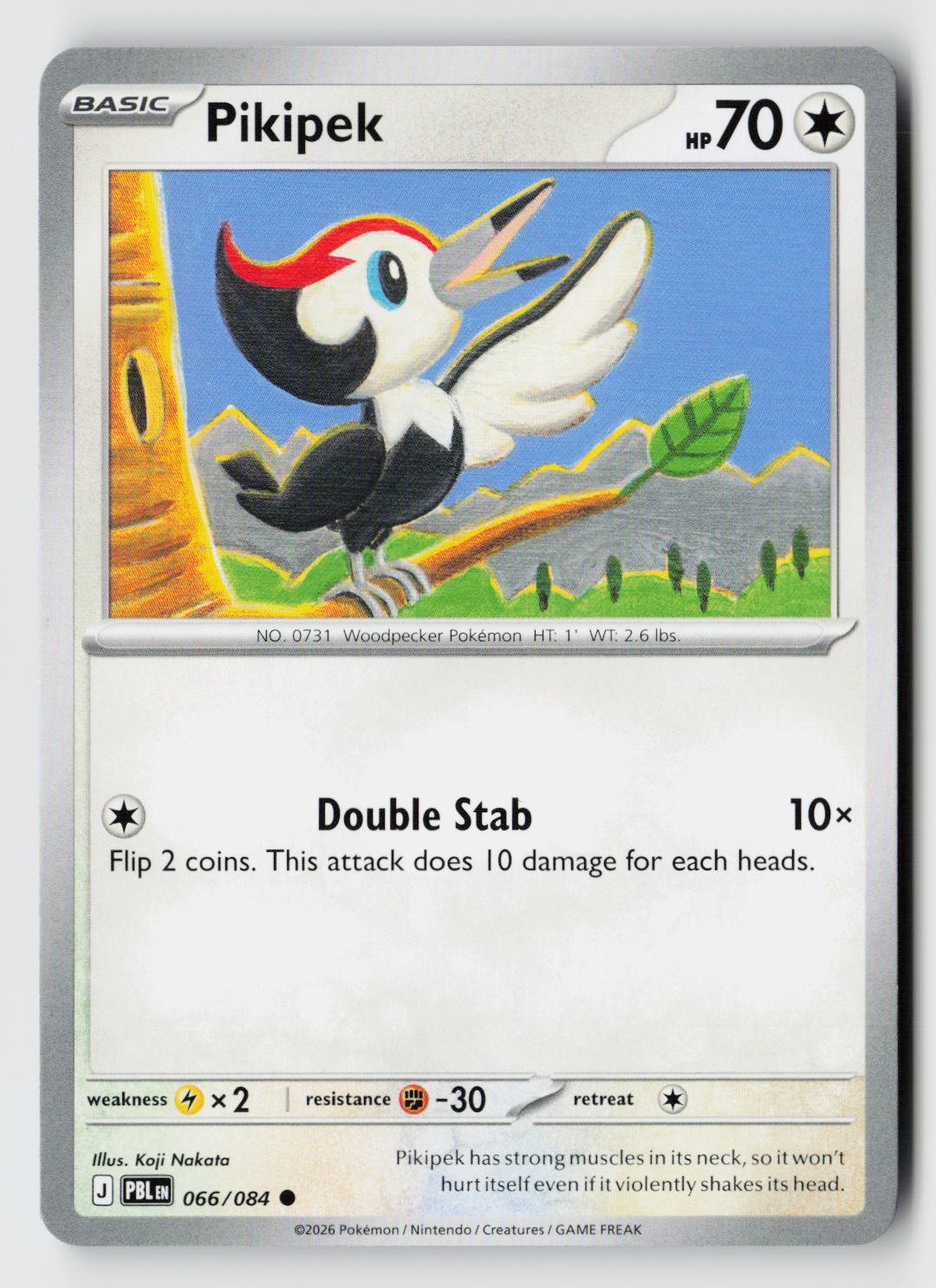 Pikipek