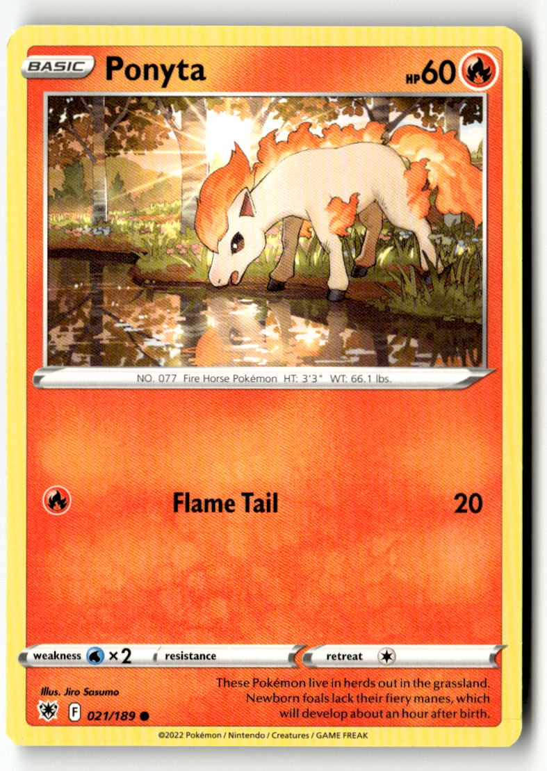Ponyta