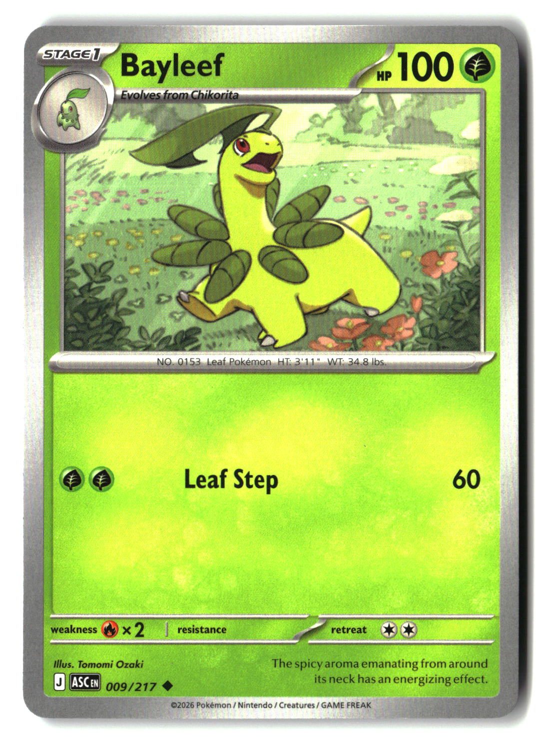 Bayleef