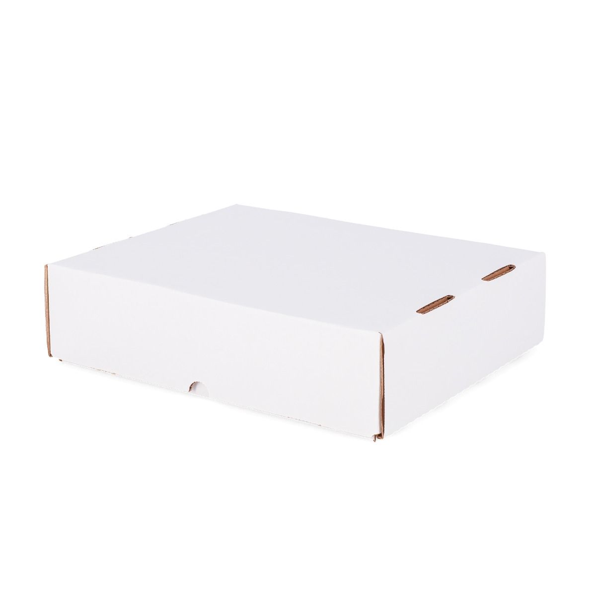 BCW: 3200 Count Storage Box (Full Lid)