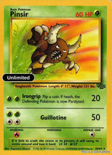 Pinsir (25)