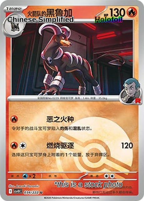 Team Rocket's Houndoom (Poke Ball) - 34
