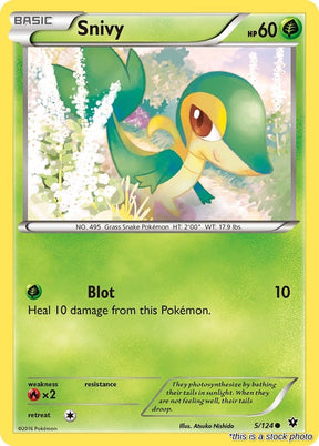 Snivy