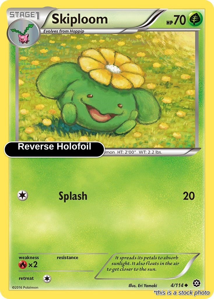 Skiploom