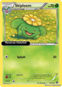 Skiploom