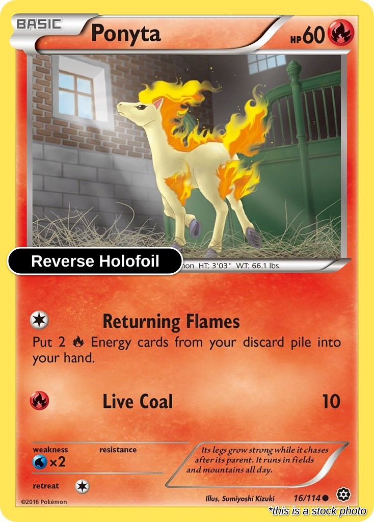 Ponyta