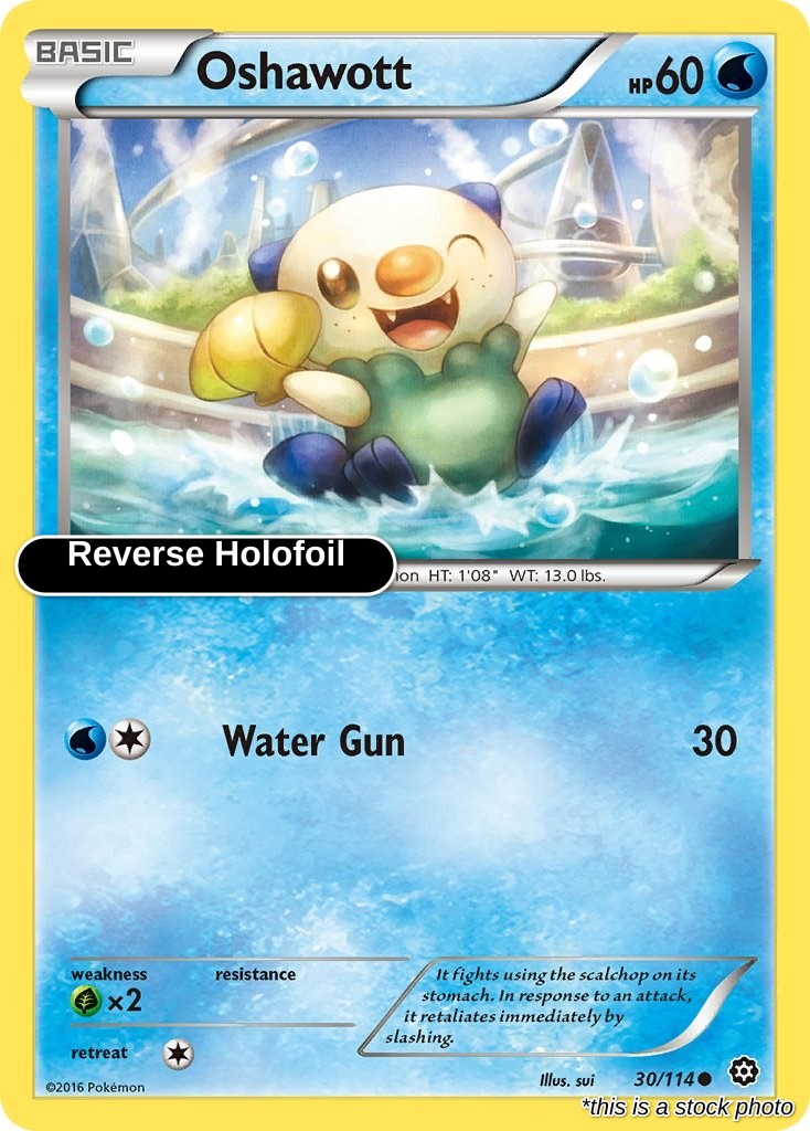 Oshawott