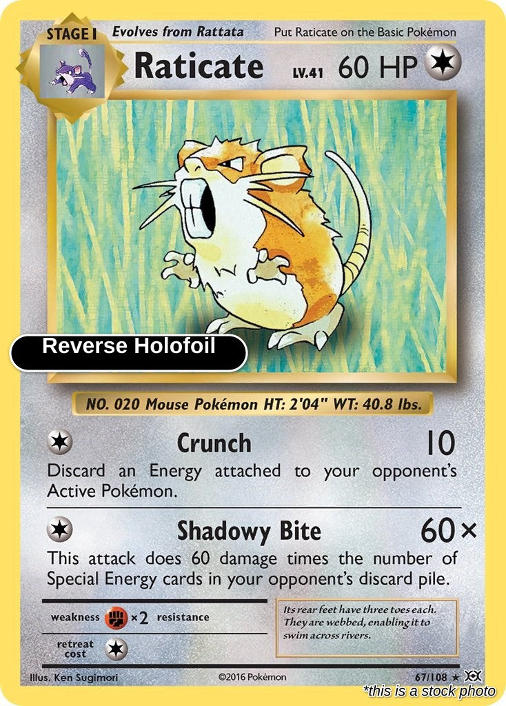 Raticate