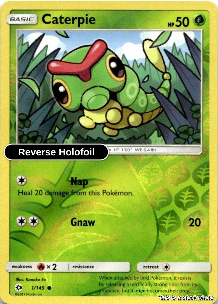 Caterpie