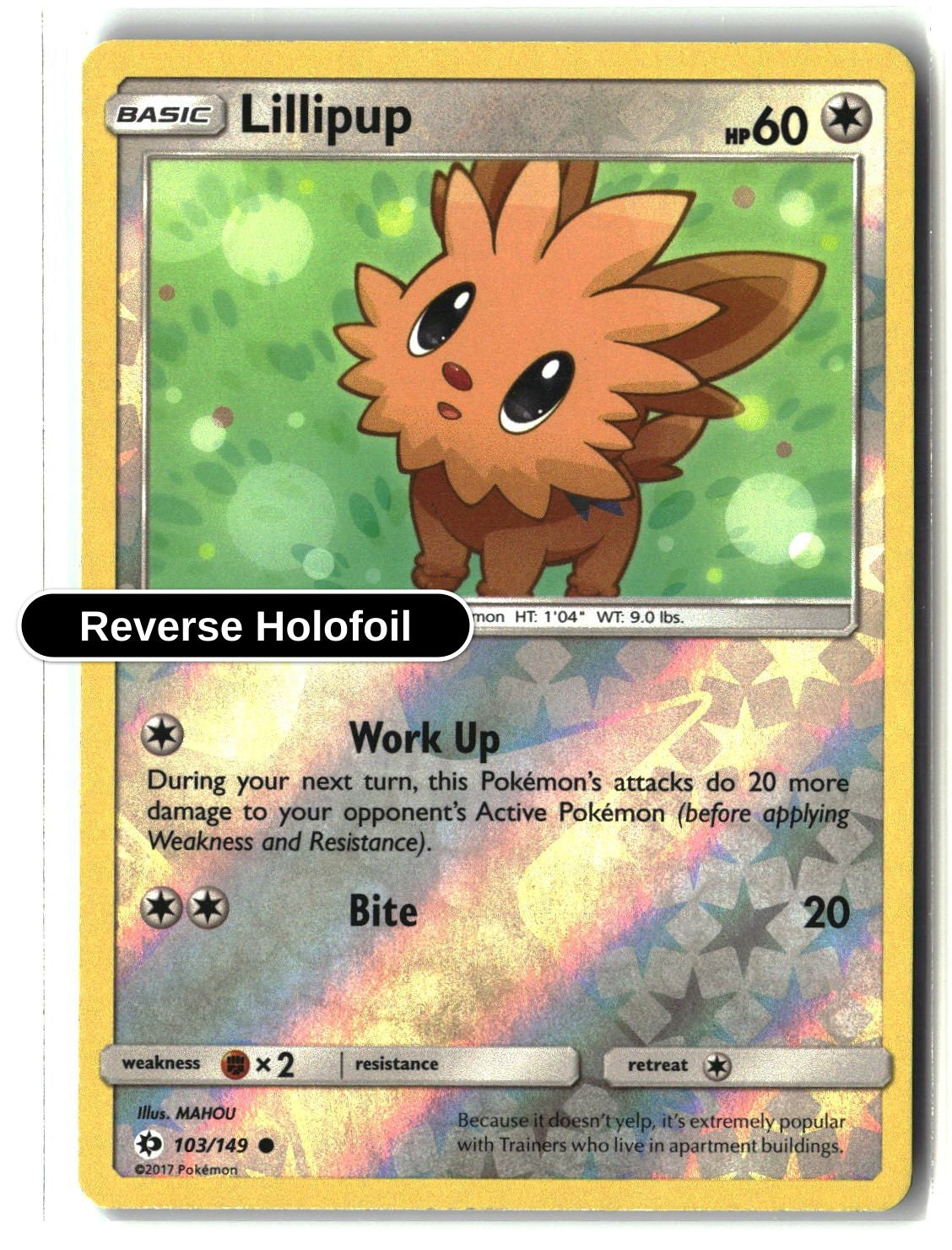Lillipup