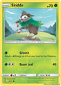 Skiddo
