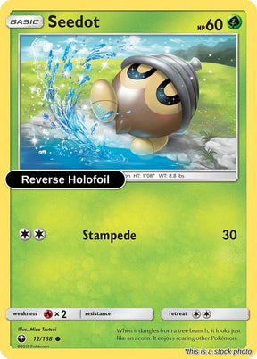 Seedot (12)