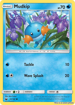 Mudkip (33)