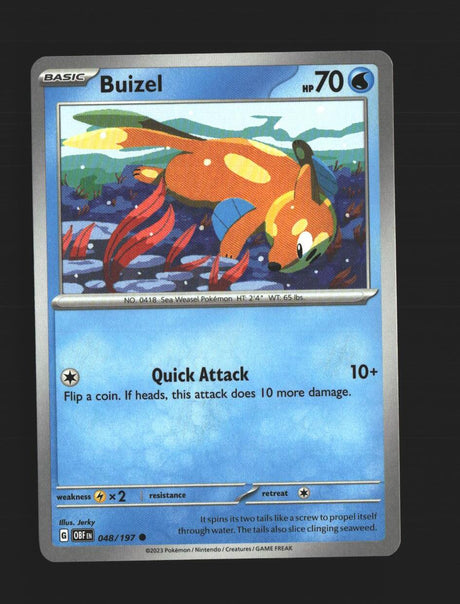 Buizel