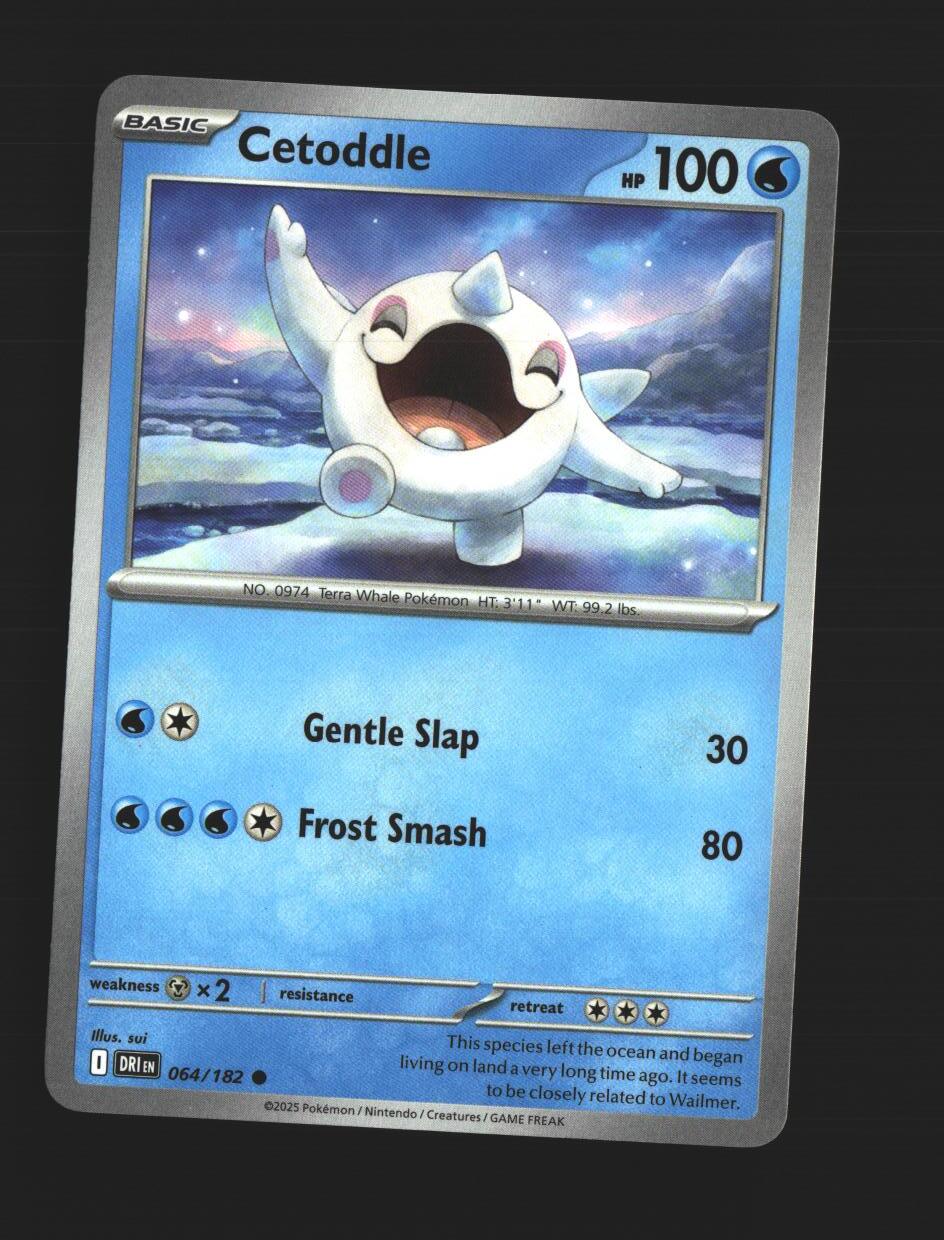 Cetoddle