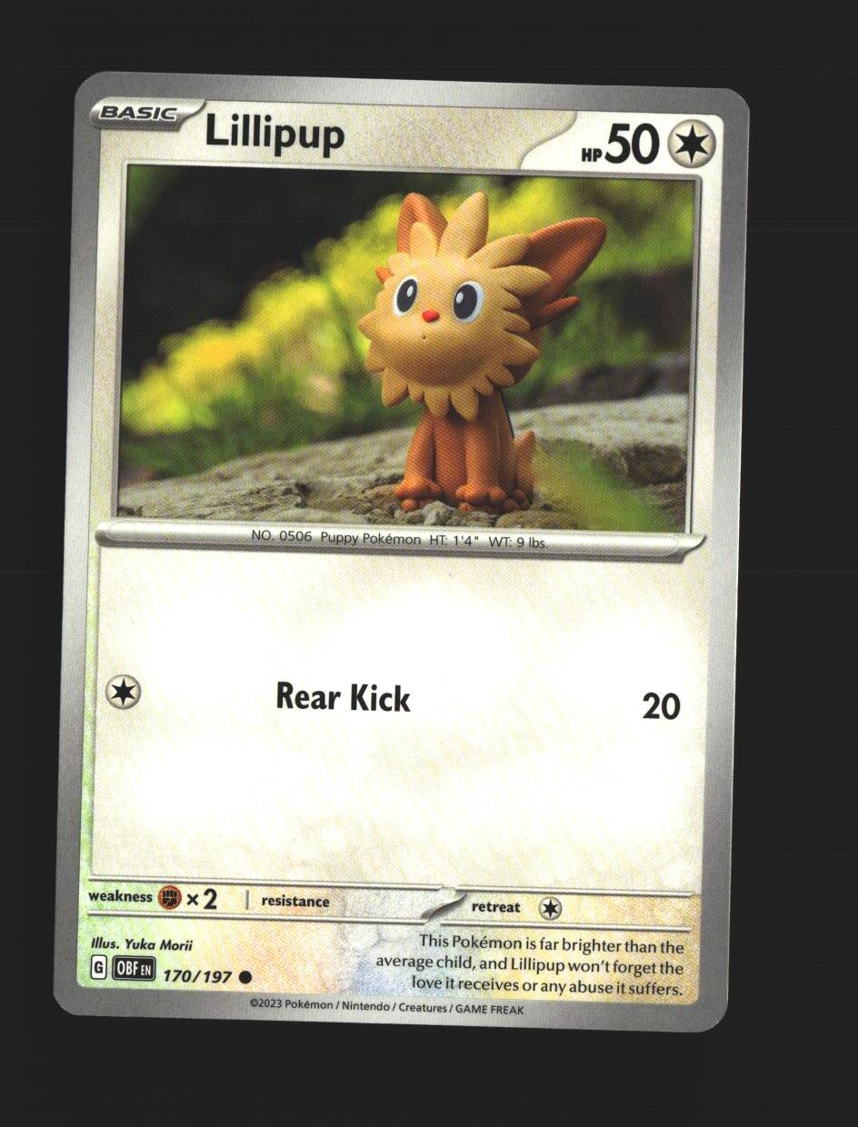 Lillipup