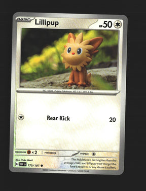 Lillipup