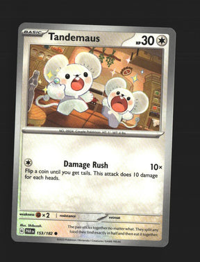 Tandemaus - 153/182