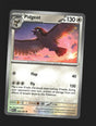 Pidgeot