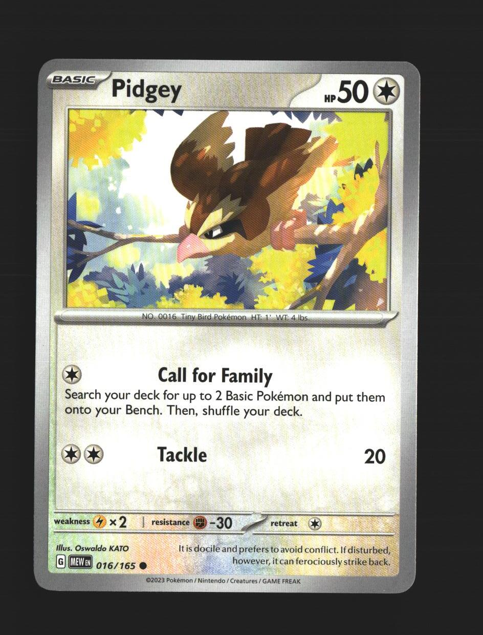Pidgey