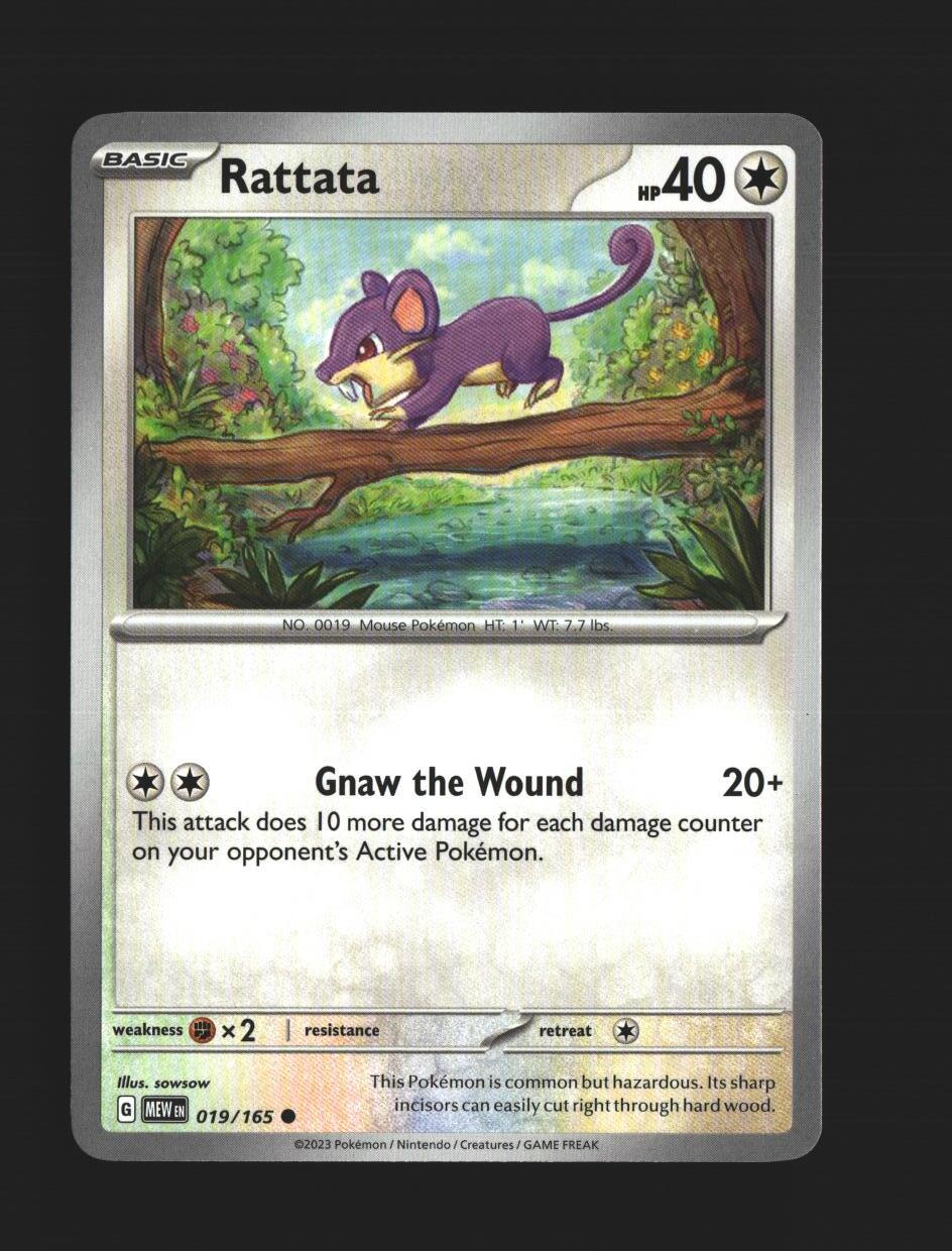 Rattata