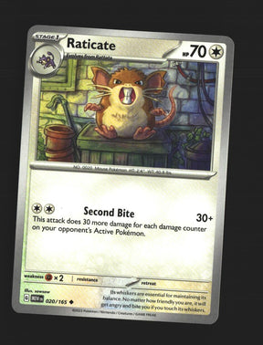 Raticate