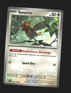 Spearow